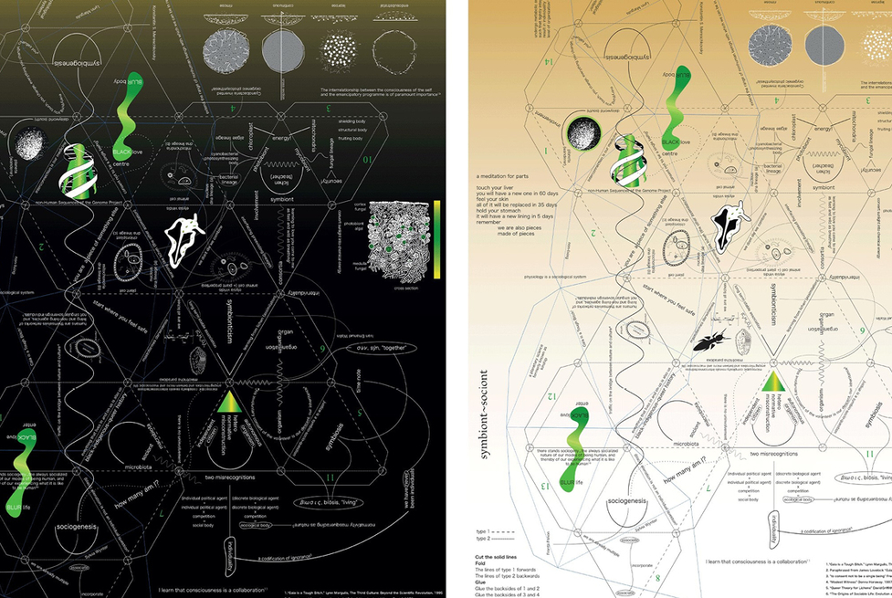 Artist Nolan Oswald Dennis on the importance of thinking like a lichen