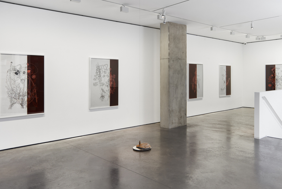 Dor Guez frames intimate portrait of Palestinian pluralities in The New Arab