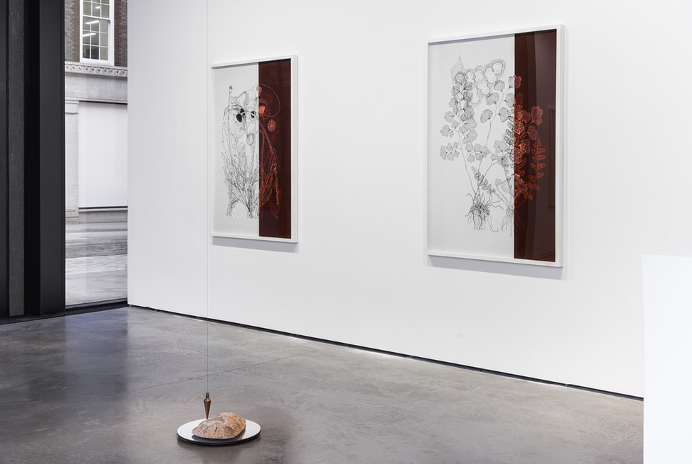 Dor Guez featured in top 5 exhibitions to see in January 2023