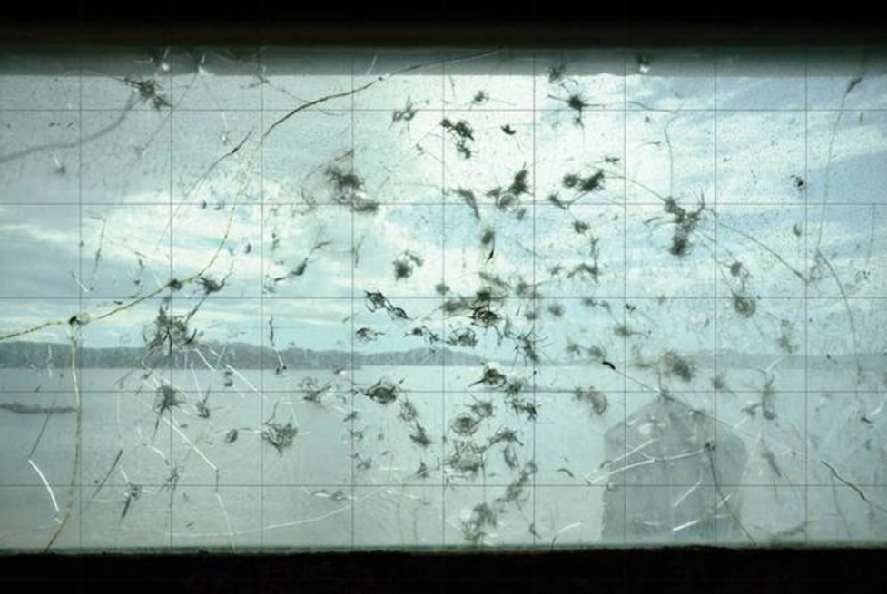 Kiluanji Kia Henda | Solo Exhibition | Galerias Municipais (Lisbon)
